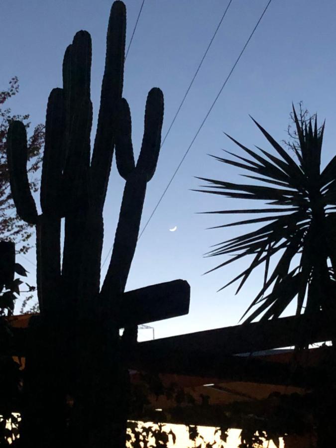 La Casita Del Cactus - Casa De Campo Con Piscina Alcalá de Guadaira Buitenkant foto