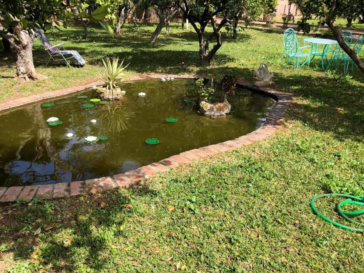 La Casita Del Cactus - Casa De Campo Con Piscina Alcalá de Guadaira Buitenkant foto