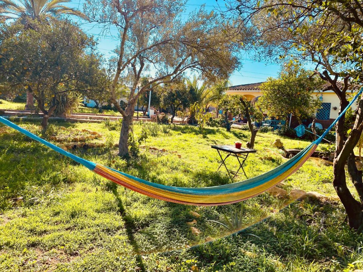 La Casita Del Cactus - Casa De Campo Con Piscina Alcalá de Guadaira Buitenkant foto