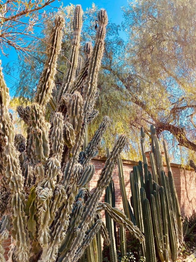 La Casita Del Cactus - Casa De Campo Con Piscina Alcalá de Guadaira Buitenkant foto