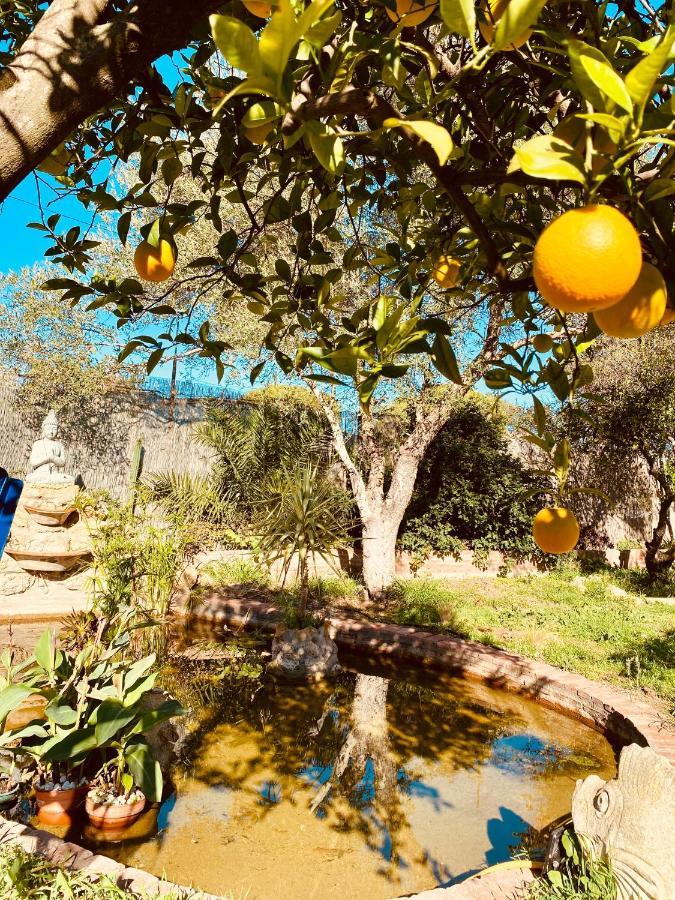 La Casita Del Cactus - Casa De Campo Con Piscina Alcalá de Guadaira Buitenkant foto